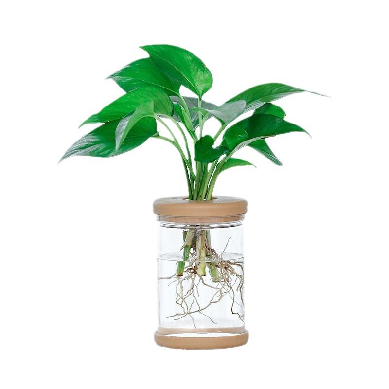 

1pcs Transparent imitation glass hydroponic flower pots resin plant pots shatterproof household desktop small pots planting pots