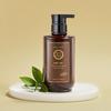 DAENG GI MEO RI Original New Gold Hair Loss Care Shampoo 500ml