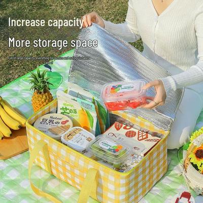 Portable Outdoor Insulated Cooler Bag for Camping, Picnics, and Travel