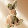 JELLYCAT Easter Garden Hare Cute Doll Plush Doll 24cm Tall