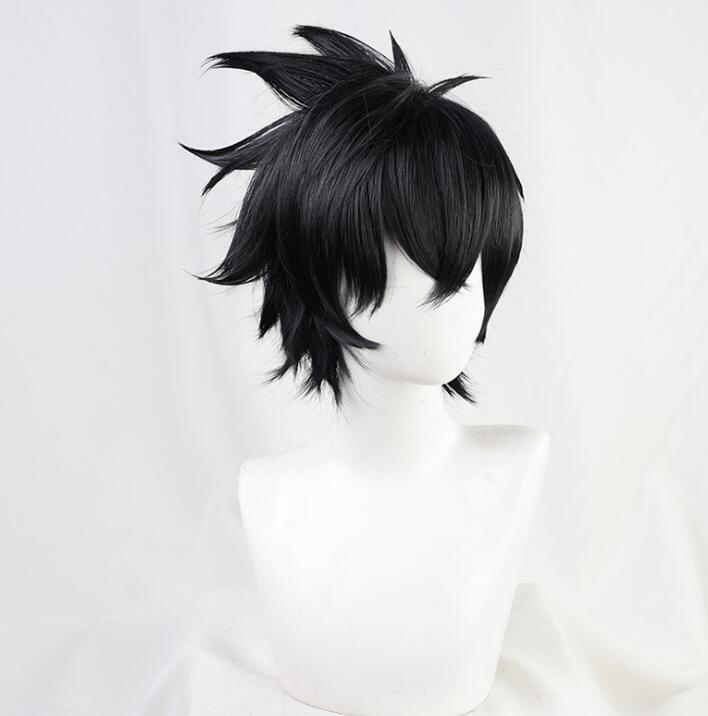 

Аниме «Восхождение героя щита» Наофуми Иватани Короткие черные термостойкие волосы Косплей Костюм Парик One Size чёрный