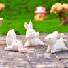Cute and Sporty Little Rabbit Home Desktop Decoration Accessories Cartoon Rabbit Ornaments