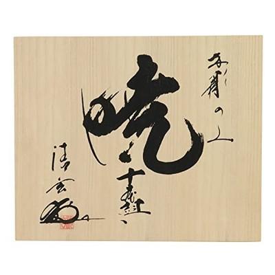 Akatsuki Japanisches Holzbildhauerhammer Meißel Set 10tlg Weißstahl Yoita Japan