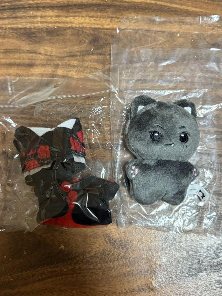 [USED] ENHYPEN Master Jay Plush Toy 10cm