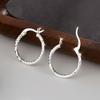 High-quality Stainless Steel Hypoallergenic Hoop Earrings, Comfortable and Versatile, Simple and Elegant, Fashionable Women's Earrings