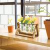 Dropshipping Glass Plant Propagation Stations With Wooden Stand Air Plants Holders Glass Vase for Indoor Plants