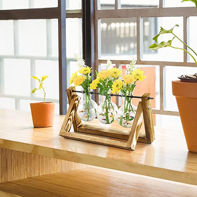 Dropshipping Glass Plant Propagation Stations With Wooden Stand Air Plants Holders Glass Vase for Indoor Plants