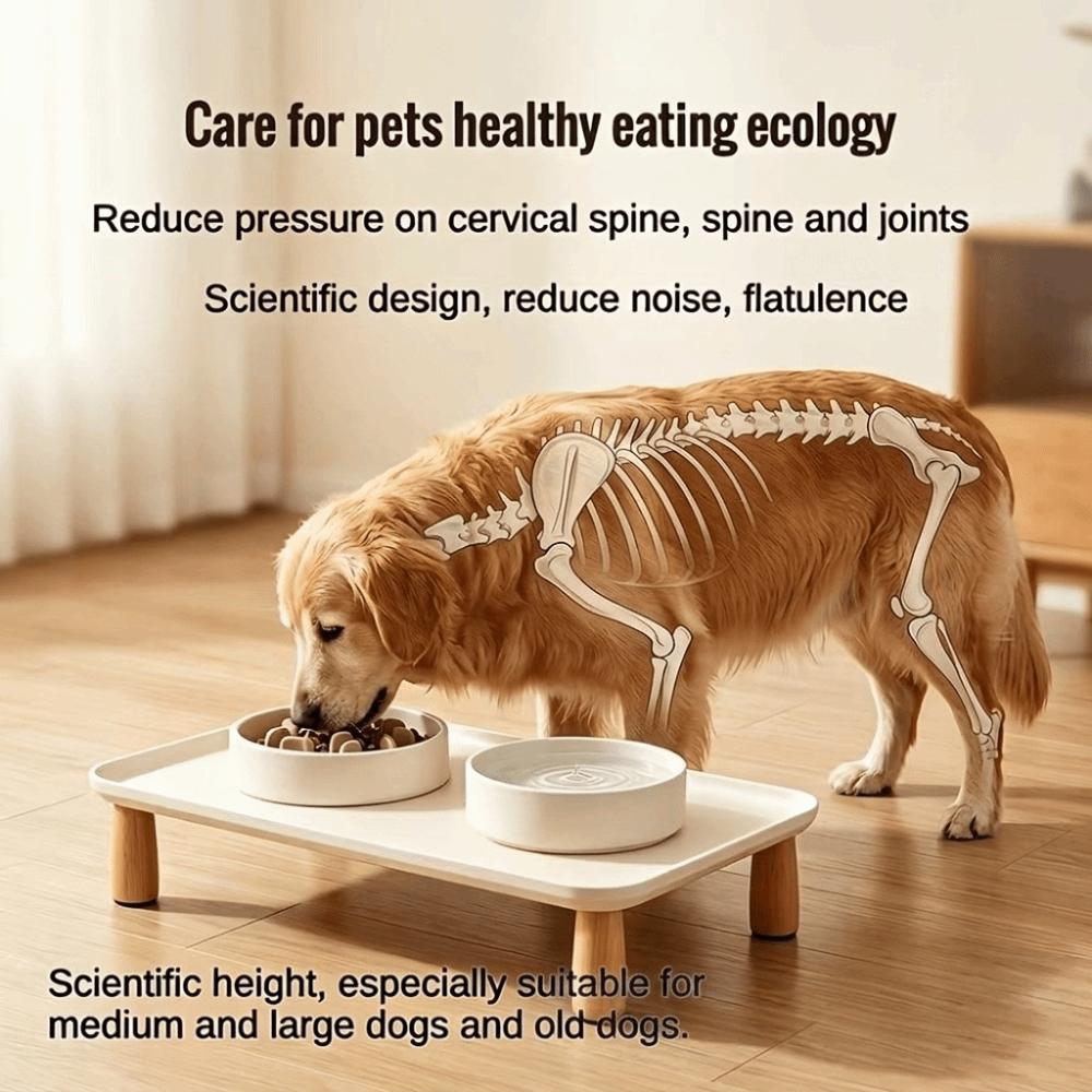 Raised Edge Elevated Pet Feeding Stand Sturdy Pet Feeder Stand Pet Supplies Raised Feeder Home