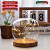 Christmas Eve Apple Preserved Flower Glass Dome Figurine with Clay Craft