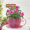 Vintage Tekopp Planterare Järn Blommig Utskuren Blomkruka Dekorativ Växtkruka för Suckulenter Kryddväxter Blommor Inomhus Utomhus Trädgårdsdekoration