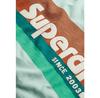 Superdry Terrain Logo Stripe Relxed Short Sleeve T-Shirt