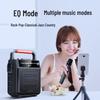 NEWMINE K22 Portable Bluetooth Speaker with Lyric Display CN plug (adapter included) (CN version)