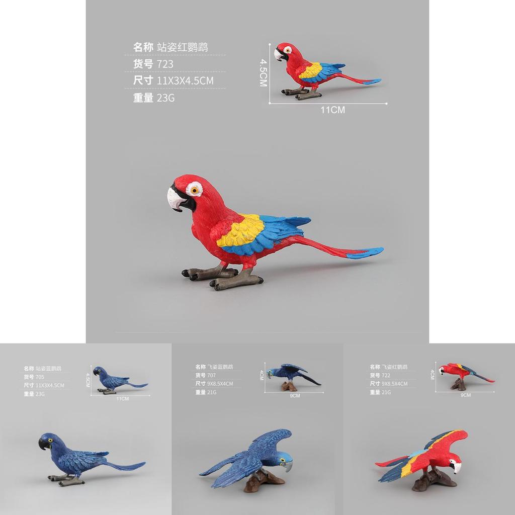 Parrot Kookaburra Model Set With Pvc Material For Childrens Educational Play And Collecting