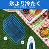 WORLD-BIO Cooler Box Ice Packs, Icing Gel Packs, Cooling Mats, Perfect for Lunchboxes, Cherry Blossom Viewing, Fishing, Camping, Heat Protection,