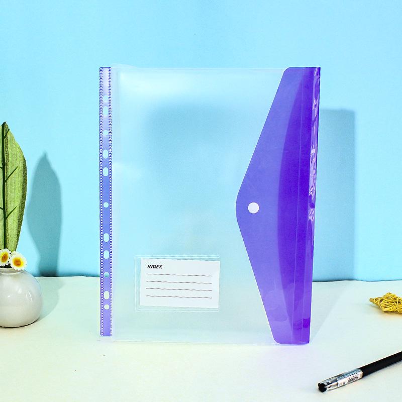 11-Hole 3D A4 Transparent Snap-Button File Bag with Card Holder - Colorful Student Document Organizer