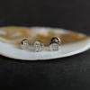 Silver Earrings with Cubic Zirkonia (2191667)