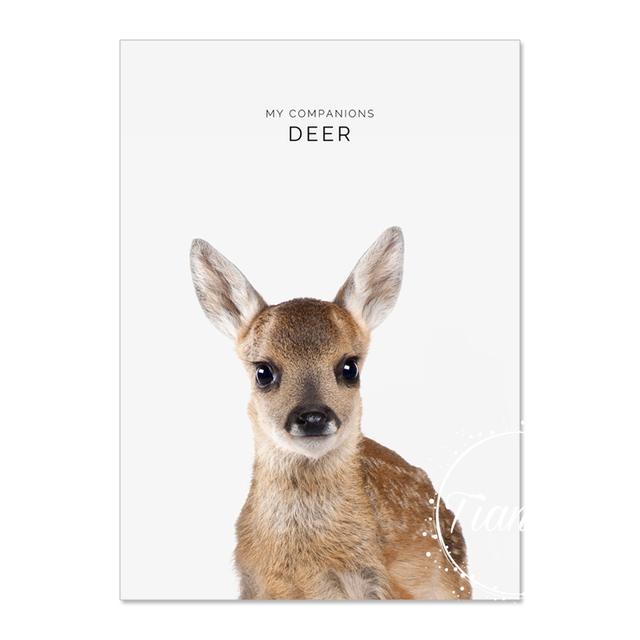 Animal Decoration Sheets Picture Wall Art Poster Children's Canvases Room Paintings For Nursery Decorative Prints Wall Posters No Frame