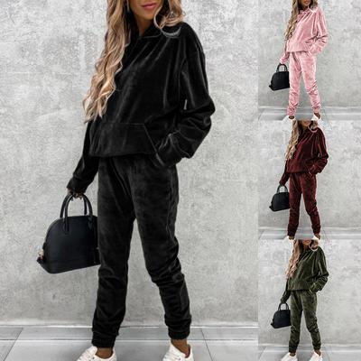 Women's Autumn and Winter Solid Color Hooded Top + Pants Set Casual Silver Fox Velvet Suit for Women