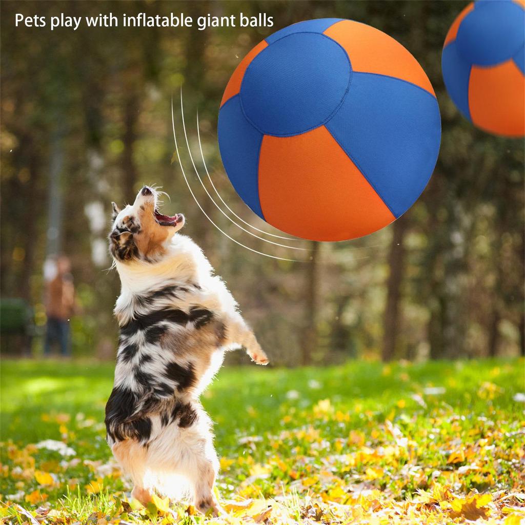 Minge de Păstorit pentru Câini pentru Joacă Activă în Aer Liber și Exerciții Minge Mare Gonflabilă pentru Ciobani Corgi Collies