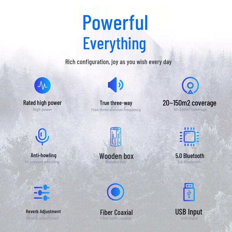 SAST VD-202 12-inch Conference Room Audio System