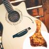 Dreld Guitar Pickguard Scratch Sticker Board with Adhesive Turtle Shell Guard with Rounded Protective Universal for and Guitar Bird Design Backing,
