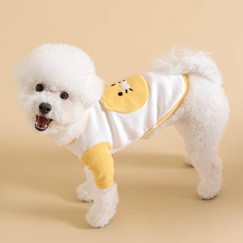 

Pet CS Color Block T-shirt S