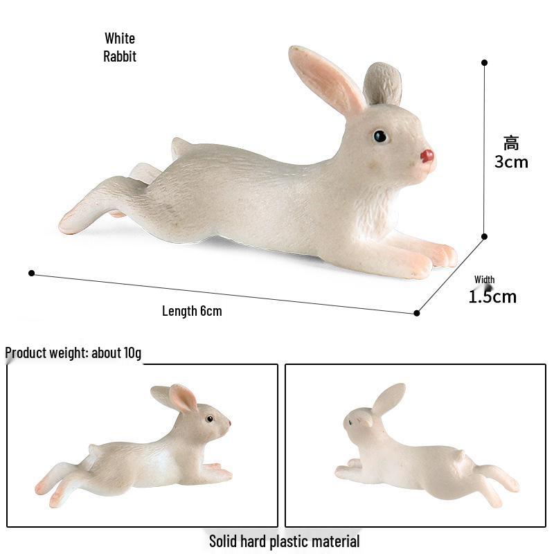 Realistic Heart Animal Model Rabbit - Children s Cognitive Early Education Gift