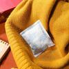 30 Pcs Packaging Desiccant Moisture Absorber for Safes Clothing Pouch Absorbers Storage Humidity Packets