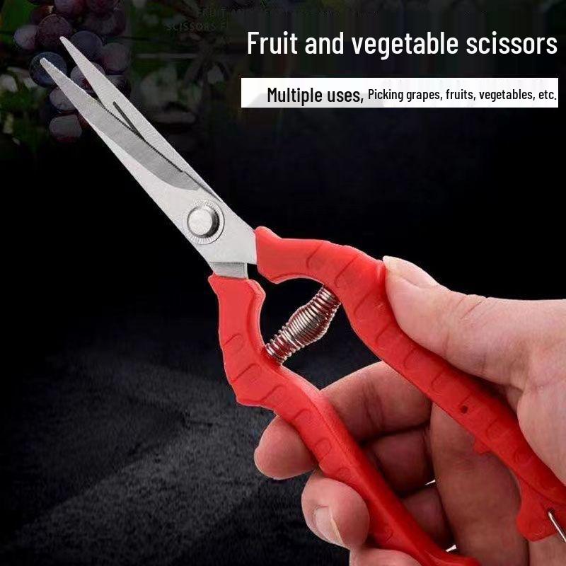 Stainless Steel Pruning Shears for Garden, Fruit Picking, Potted Plants, Grafting, and Harvesting