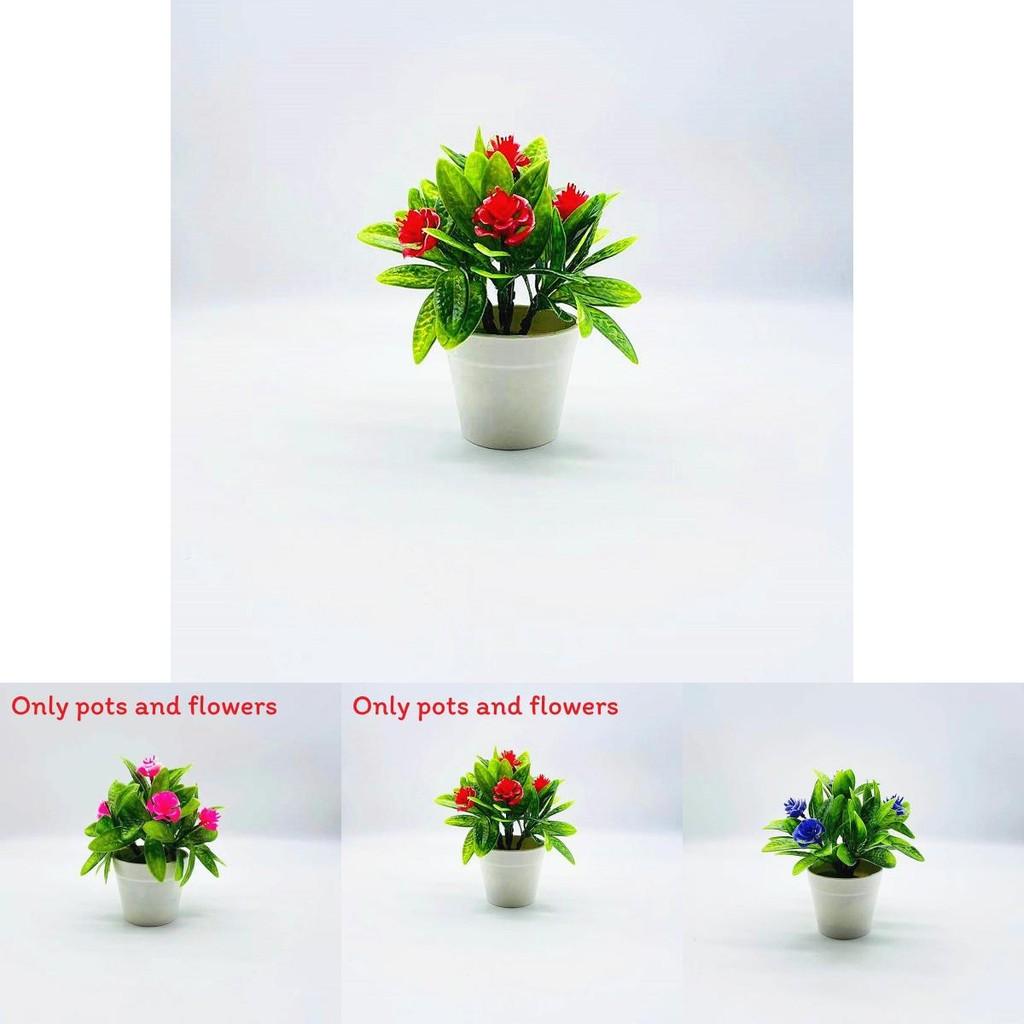 Plastic Botanical Decor With Myrica Rubra Leaf For Indoor Plant Display And Gifts