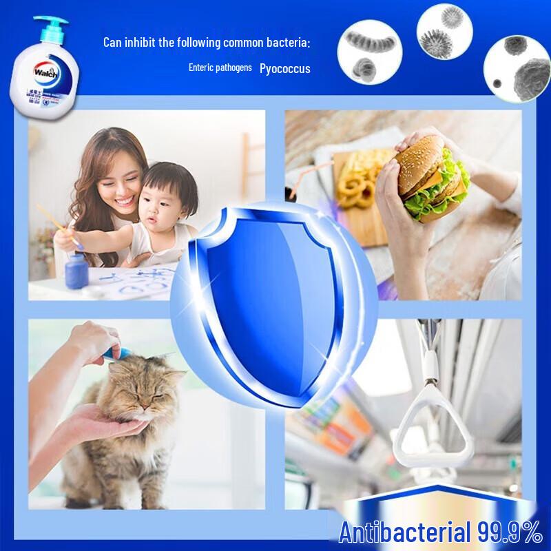 Walch Antibacterial Hand Wash 4-Piece Set