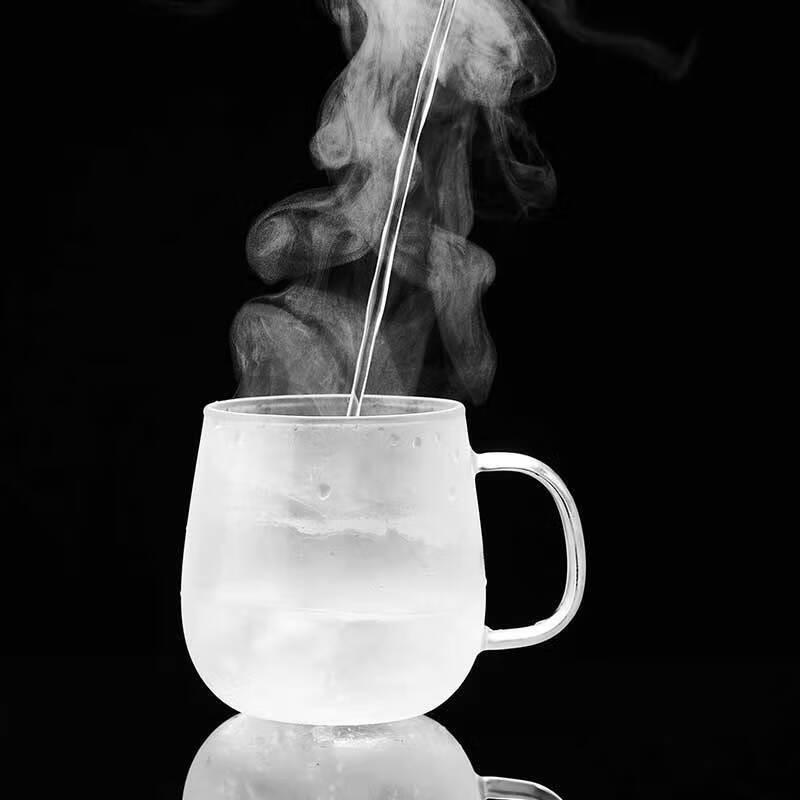 520ml Heat-Resistant Glass Tea Infuser Mug with Lid and Handle