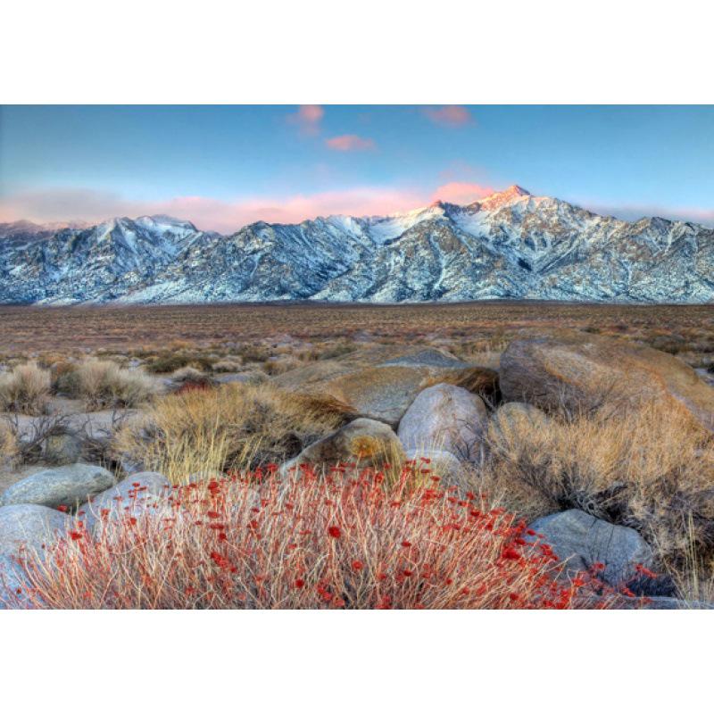 California Scenery Poster: Free Shipping in USA - Ideal for Dorm, Bedroom, Living Room, Bar, or Cafe Decor
