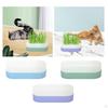 Cat Grass Growing - Indoor Hydroponic Sprouter for Feline Snacks
