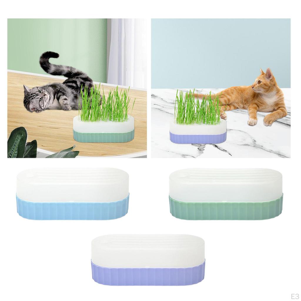 Cat Grass Growing - Indoor Hydroponic Sprouter for Feline Snacks