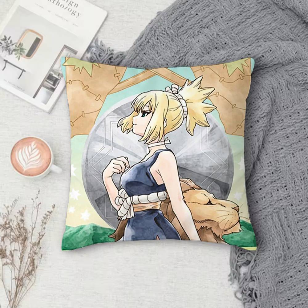 D-Dr. Stone Double-Sided Printed Square Pillow Cover Decorative Cushion Cover For Sofa Bedroom Bedside
