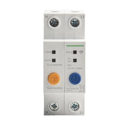 Smart Home Integration WIFI Circuit Breaker 2 Pole 63A for Remote Control and Efficient Power Usage Management