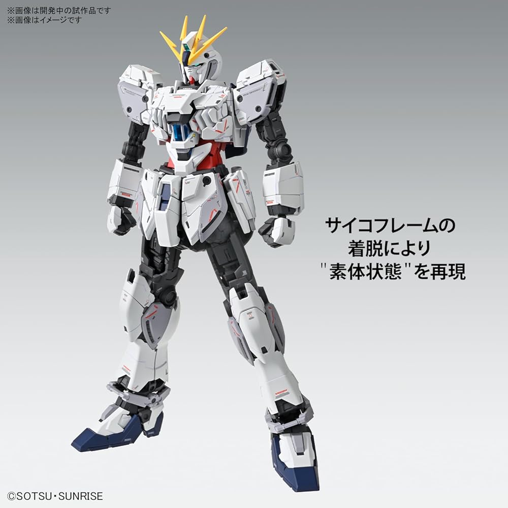 MG Gundam Narrative Gundam C Equipment Ver.Ka 1/100 Scale Color-Coded Plastic Model Kit