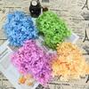 20g Natural Dried Flowers Hydrangea Macrophylla Home Flowers Decoration Wedding Celebration Bouquet Materials