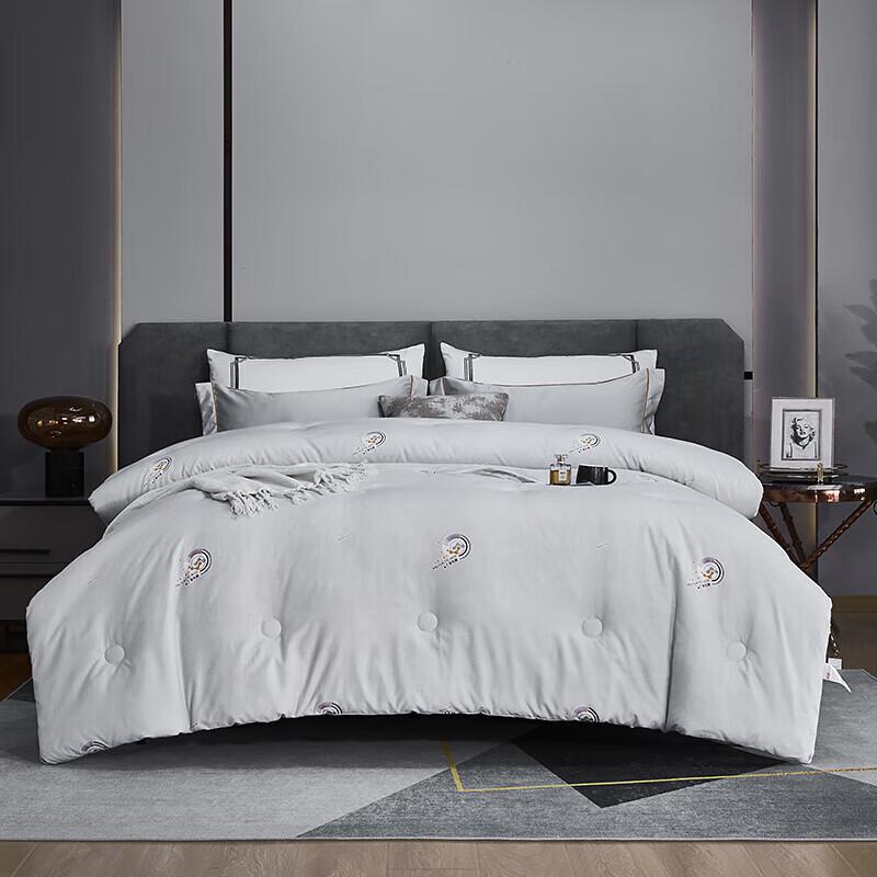 

HONGDOU Polylactic Acid Energy Quilt