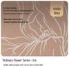 JIUMU Women's Winter Wool Scarf & Shawl Gift Set