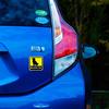 Car Magnetic Sticker I Have a Dog at Home Shiba