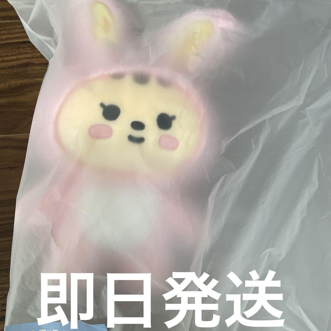 

[USED] SEVENTEEN MINITEEN Plush Toy Jeonghan PLUSH TOY