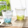 ADERIA Tsugaru Vidro "Nihon no Iro Fukei" Summer Flowers 260ml Pair Glasses in Gift Box, Made in Japan. Perfect for highballs, beer, sake, birthdays,