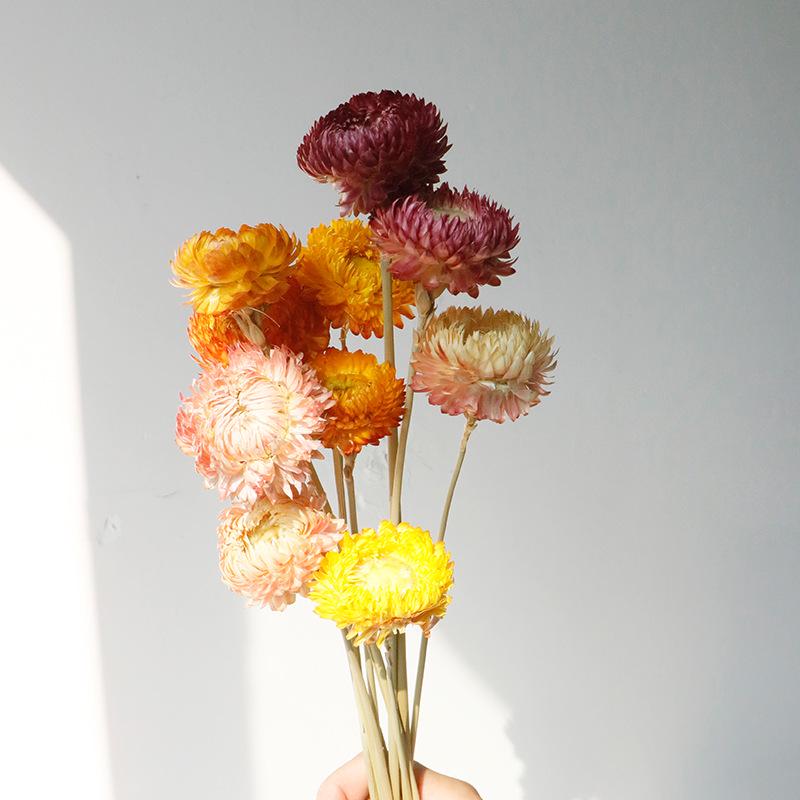 High-End Wabi-Sabi Dried Flower Decor: Natural Reeds & Wheat for Living Room or Homestay.