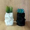 Irregular Art Vase Hydroponic Vase Desktop Ornament Plastic Flower Pot Home Garden Decoration
