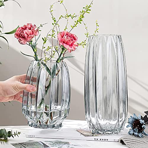 Set of 2 30cm Clear Glass Vases, Flower Bases, Glass Bottles, Perfect for Arranging Flowers, Hydroponics, Ikebana, and Artificial Flowers, Stylish and