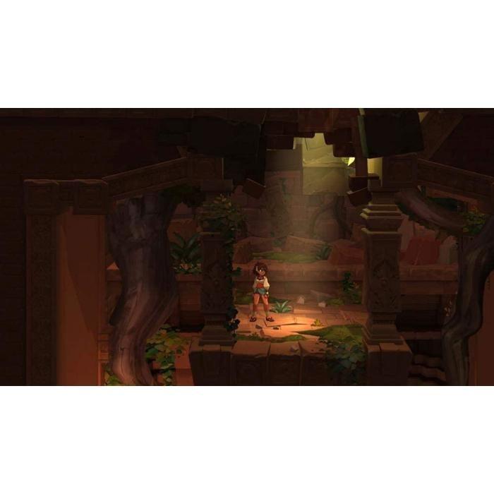 Jeu ps4 - indivisible - octobre 2021 - graphismes remarquables - 1 joueur - pegi 12+