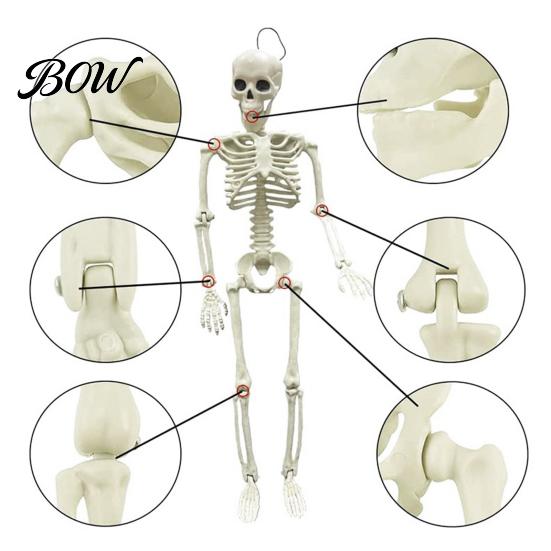 Full Body Skeleton for Party Decorations Halloween Decoration, 3Ft Life Size Human Bone, Realistic Posable Simulation Bone Structure Stage Setup with