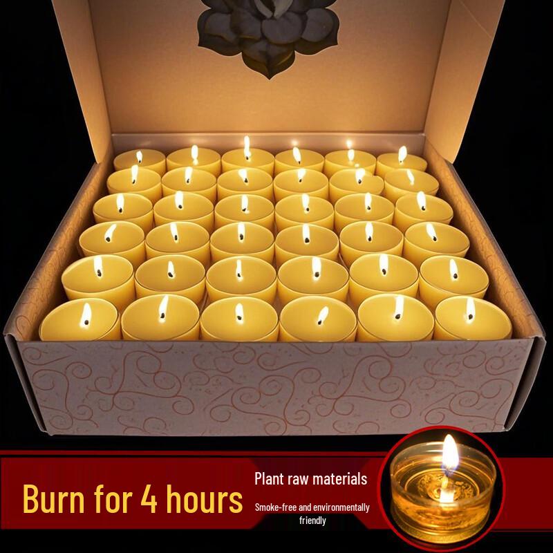 LIEI 8-Hour Smokeless Ghee Lamps (100 Count)